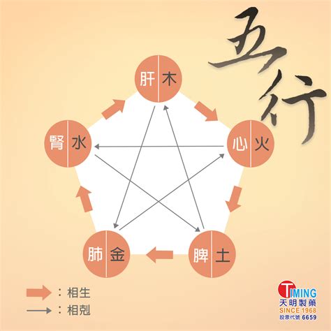 五行健康|中醫知識 